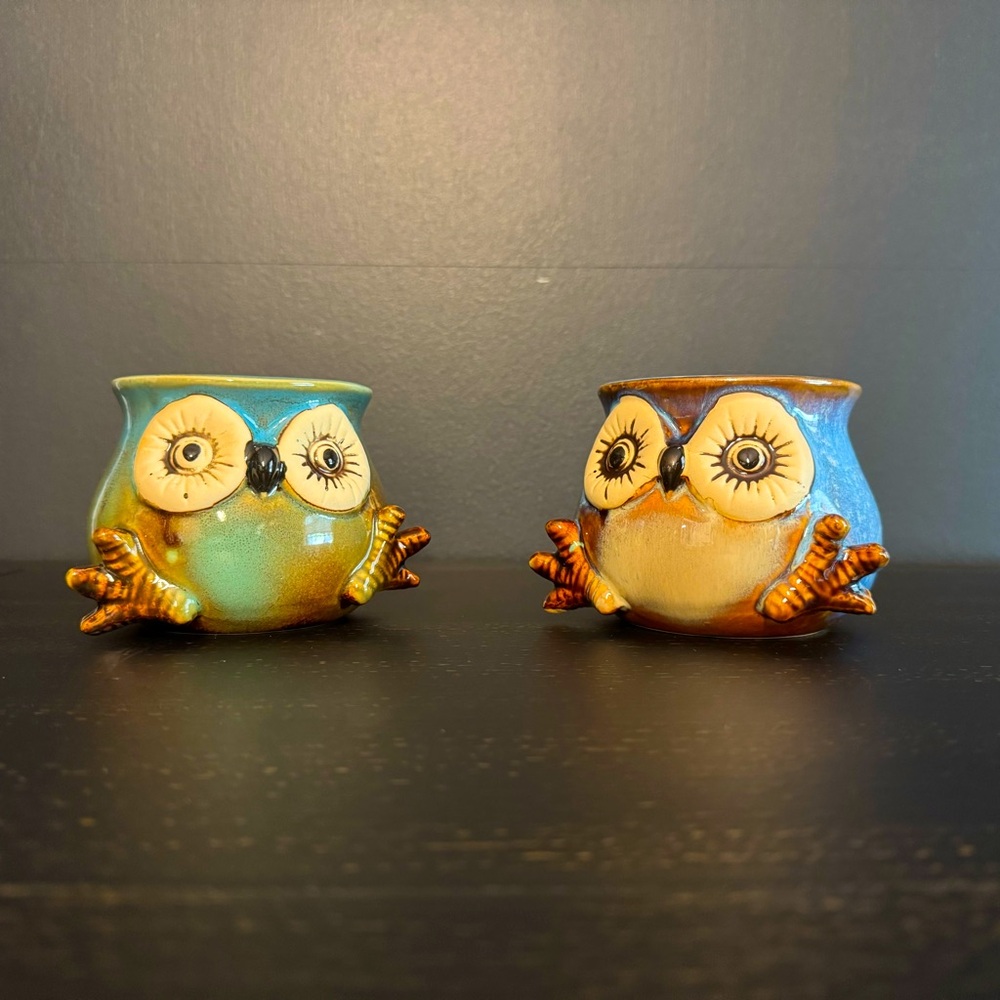Two Pacifica Home Owl Mugs